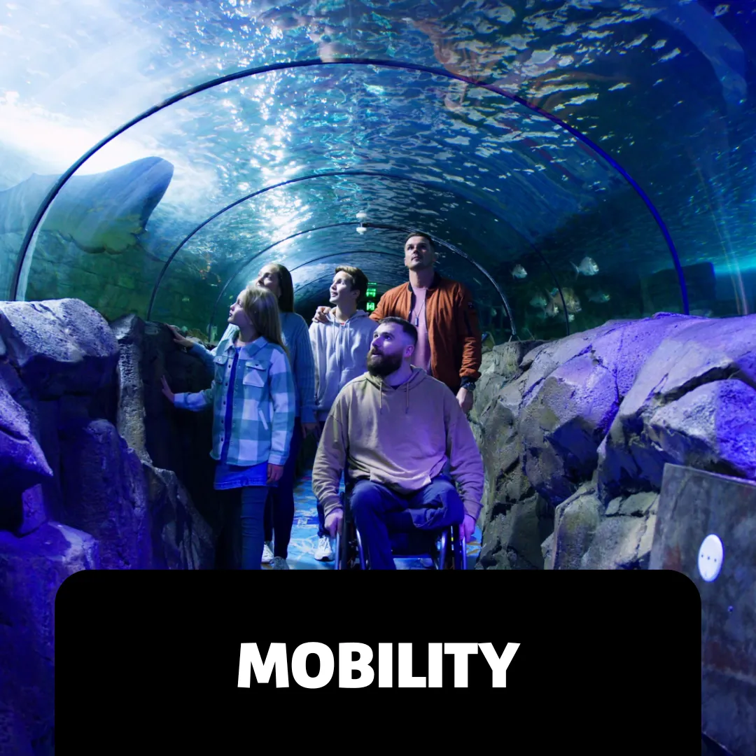 Accessibility Webpage Images Mobility