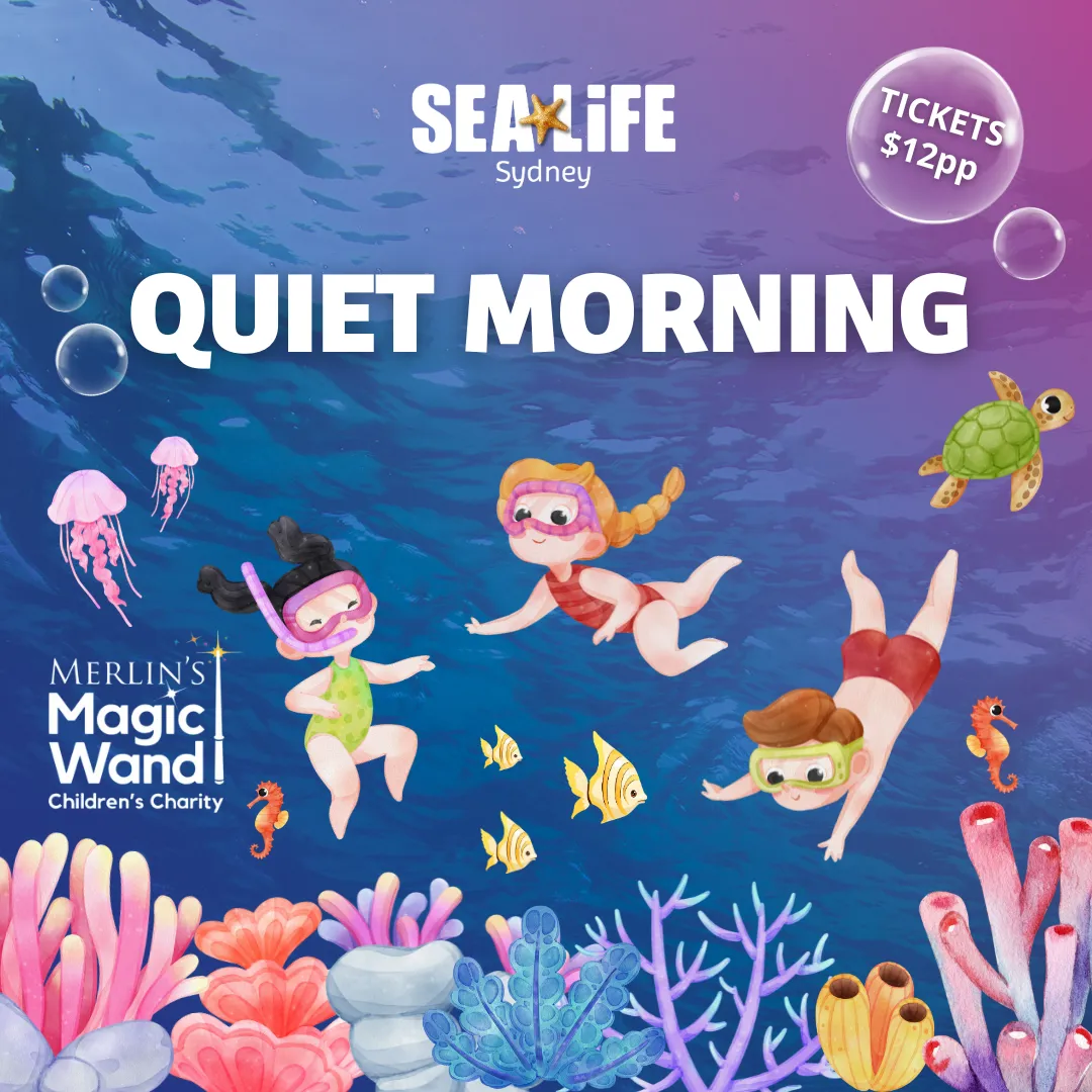SLSA QUIET MORNING