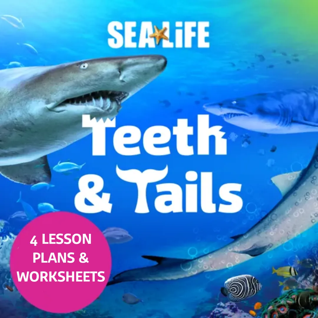 Teeth Tails Jpeg