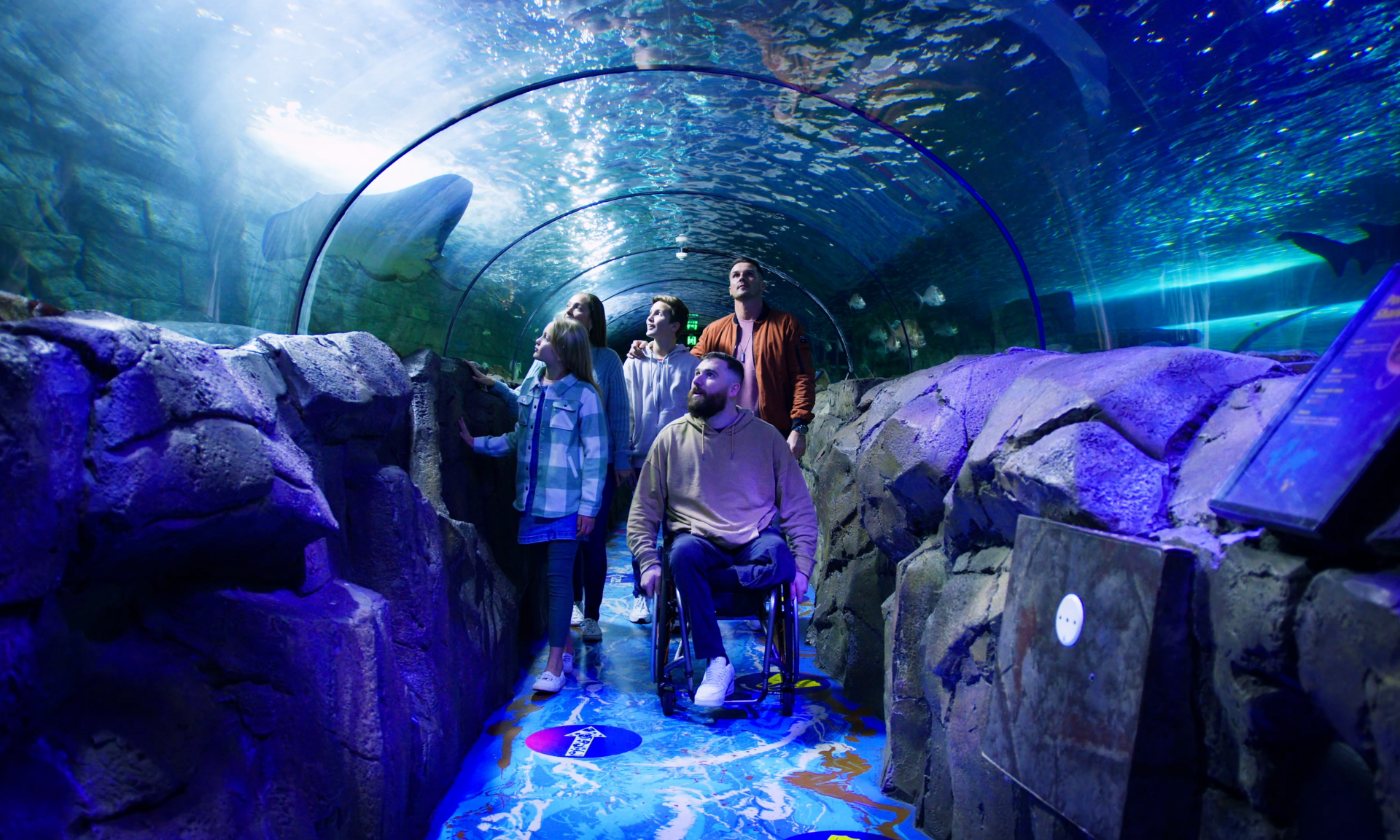 Guests enjoying shark valley at sea life sydney aquarium