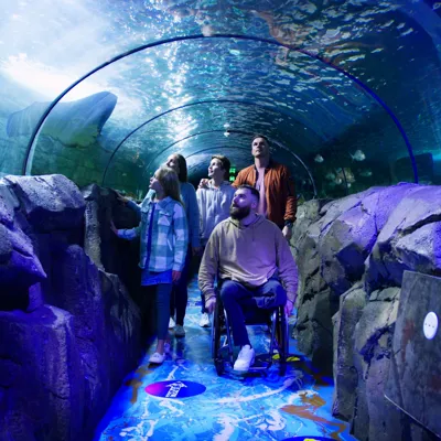 Guests enjoying shark valley at sea life sydney aquarium