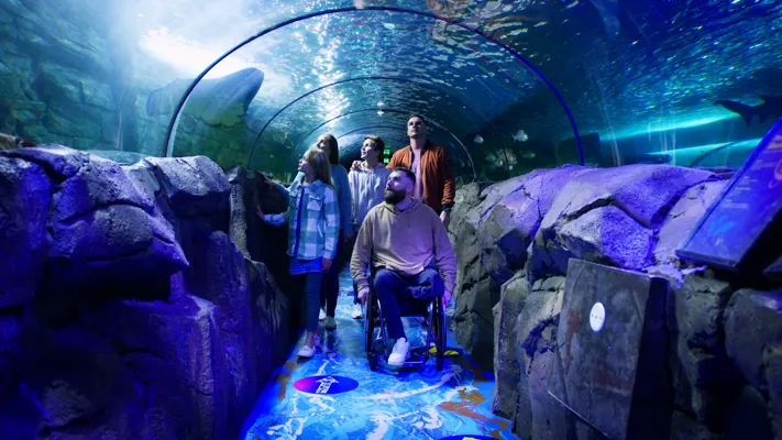 Guests enjoying shark valley at sea life sydney aquarium