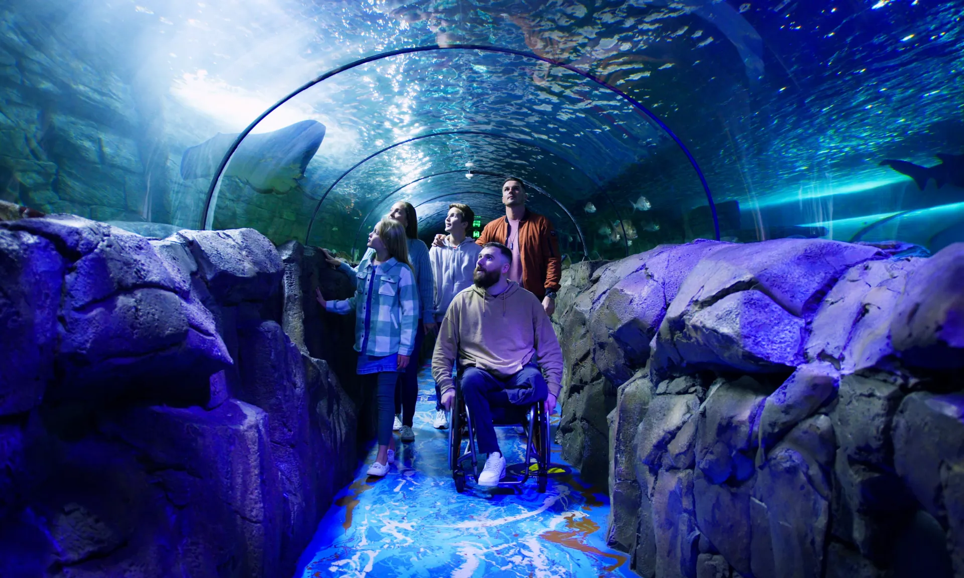 Guests enjoying shark valley at sea life sydney aquarium