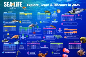 SLSA Calendar Screenshot