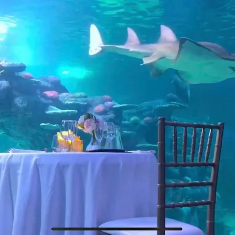 Heart Of The Reef