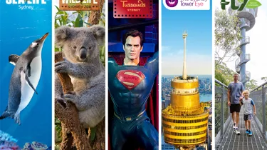 NSW Attraction Image (1)