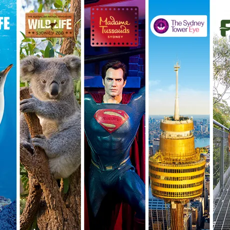 NSW Attraction Image (1)