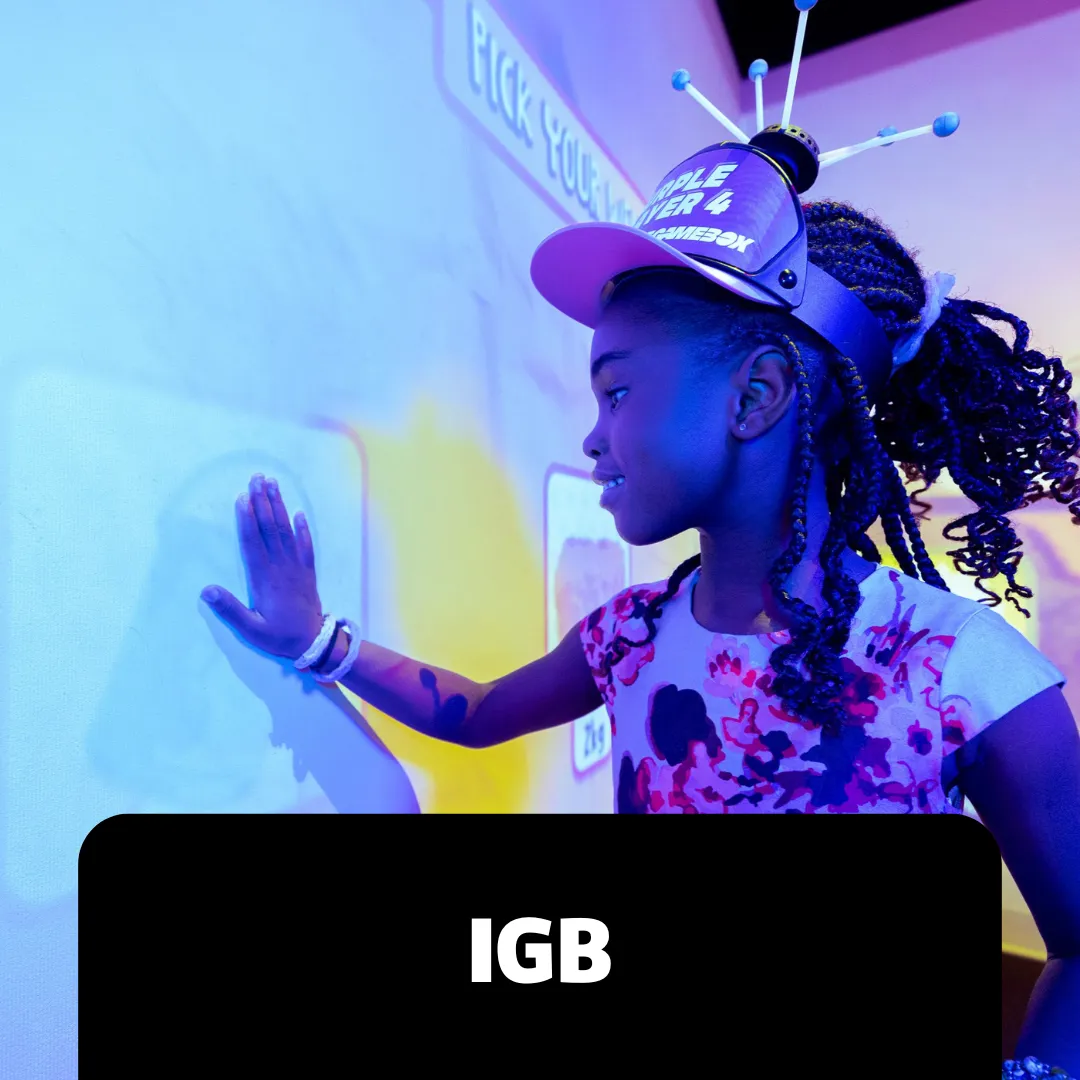 Accessibility Webpage Images IGB