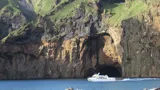 Beluga Sanc
