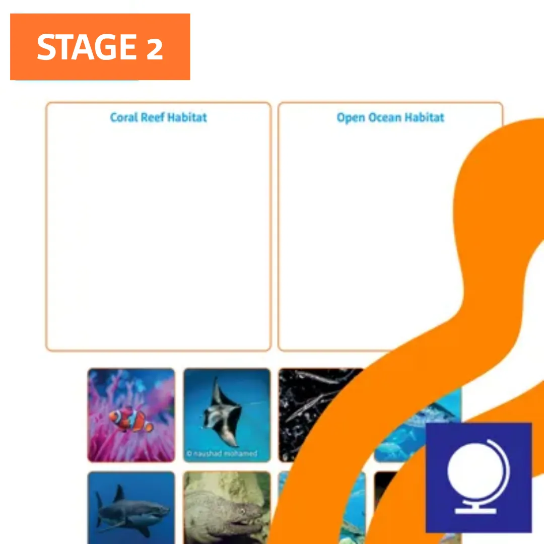 S2 S3 Coral Reef Or Open Ocean