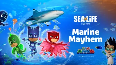 PJ Facebook 1200X628px