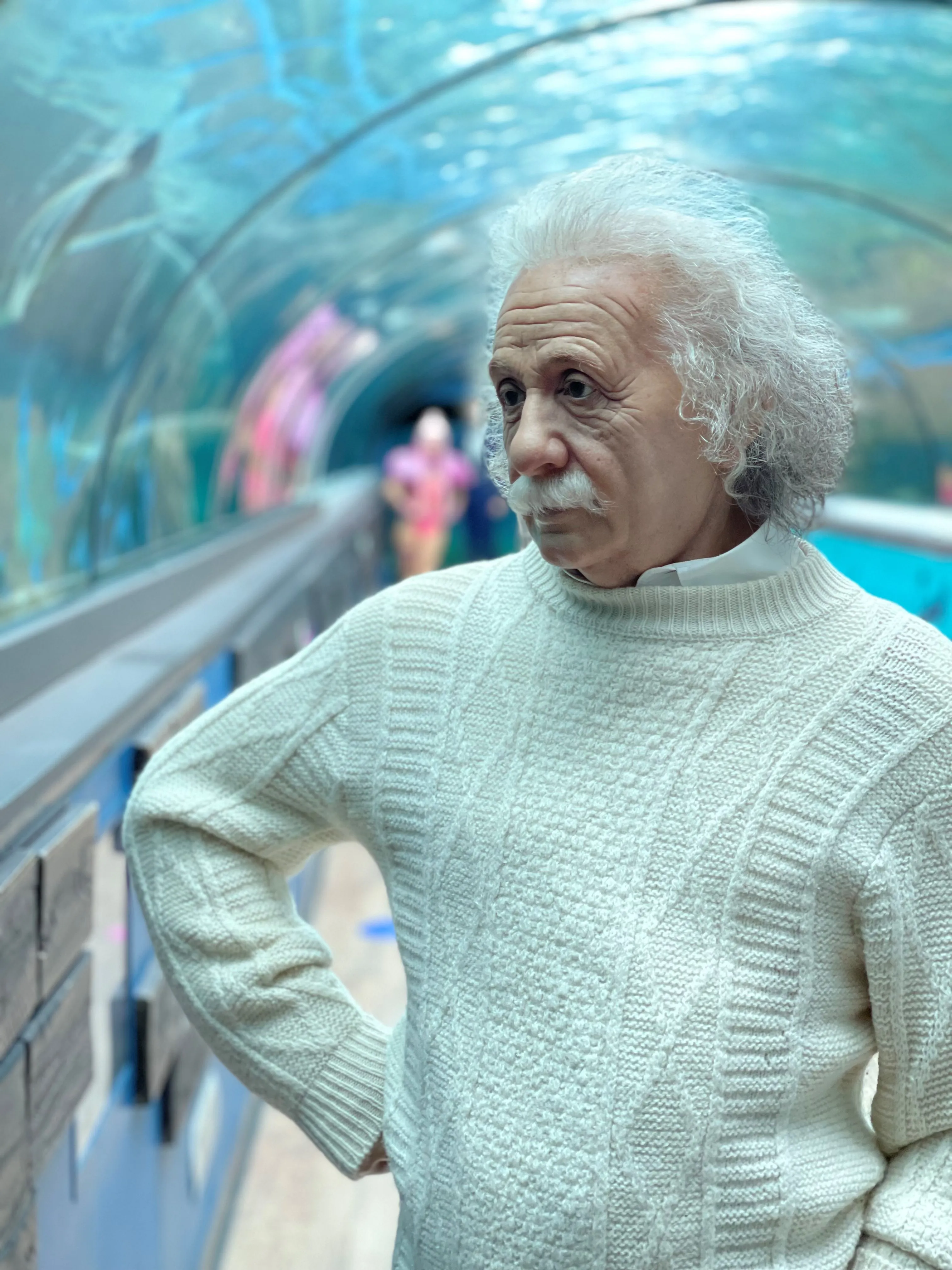 Einstein Close Up Vists Pig The Dugong SEA LIFE Sydneyaquarium