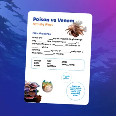 ACTIVITY BOOKLET IMAGES5