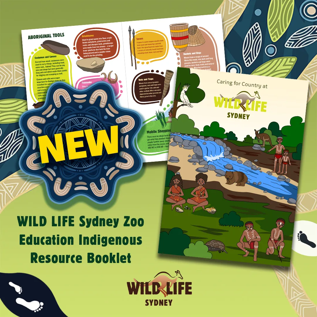 WLS Indigenous Social 1080X1080