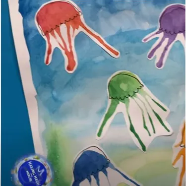Jellies