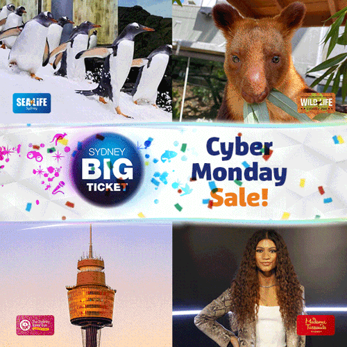 Cyber monday sale