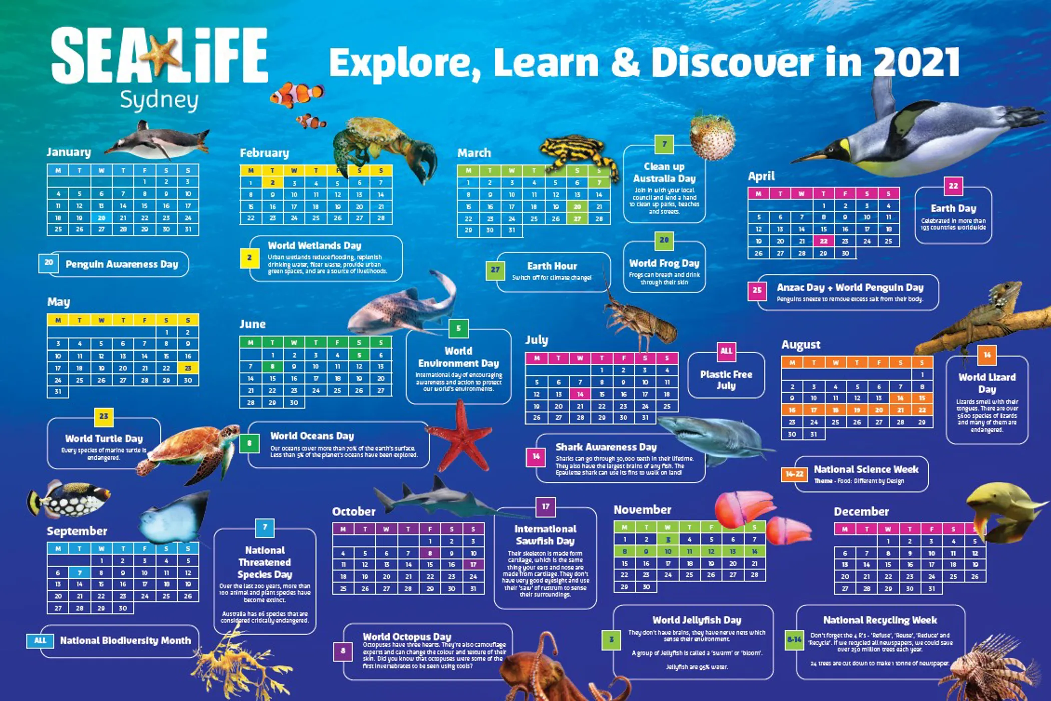 Extra Teacher Resources SEA LIFE Sydney Aquarium