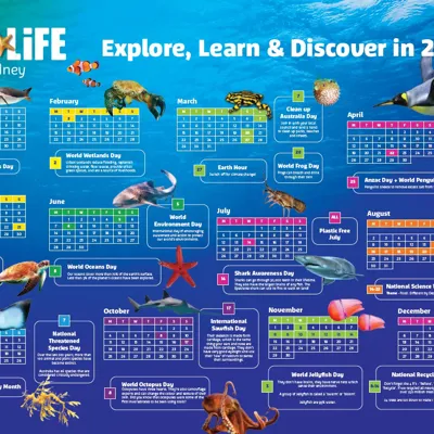 2021 SLSA Calendar