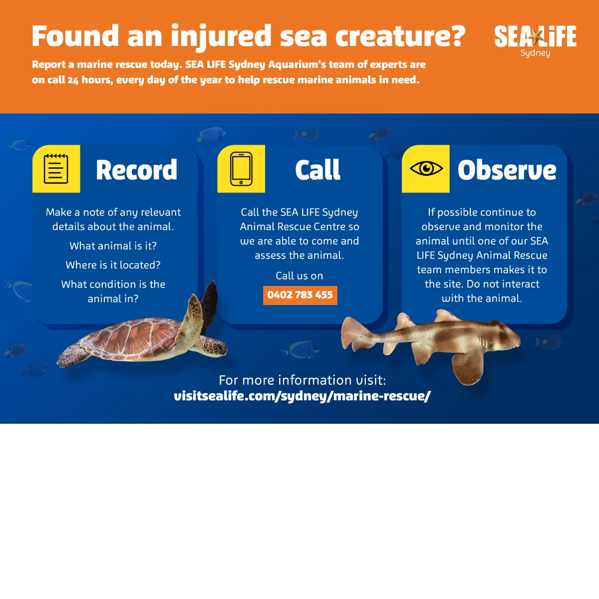 SLSA Rescue Poster (1)