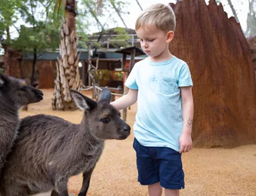 WLS Kangaroo And Child