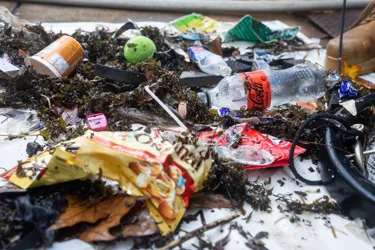 Catch Found In SEA LIFE Sydney Aquarium Seabin3
