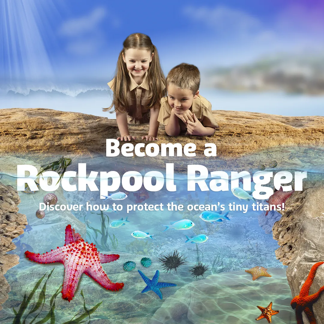 SL Rockpools Square 1080X1080px Nologo SLKT