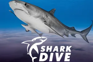 Webgraphic 700X500 VR Sharkdive