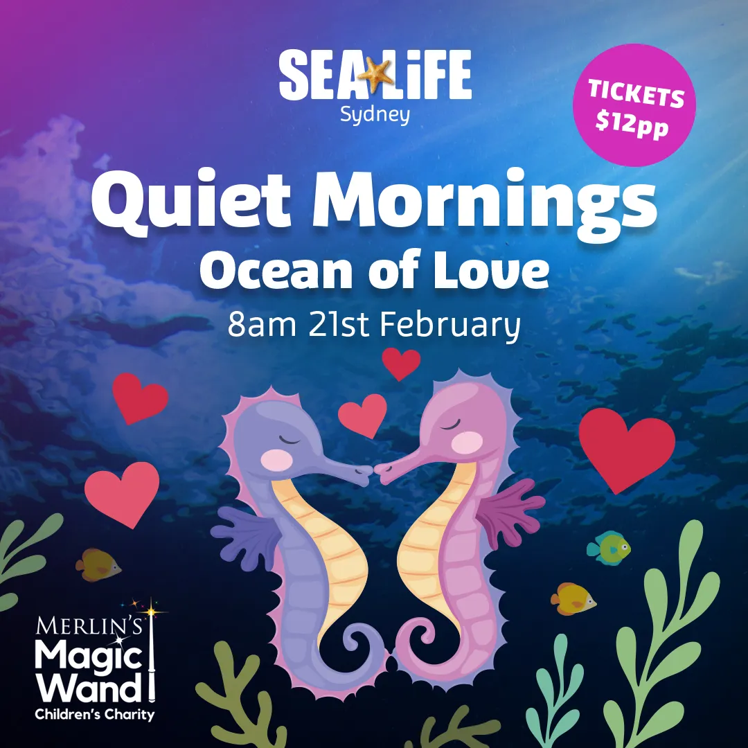 SLS Feb Quietmorning 1080X1080px