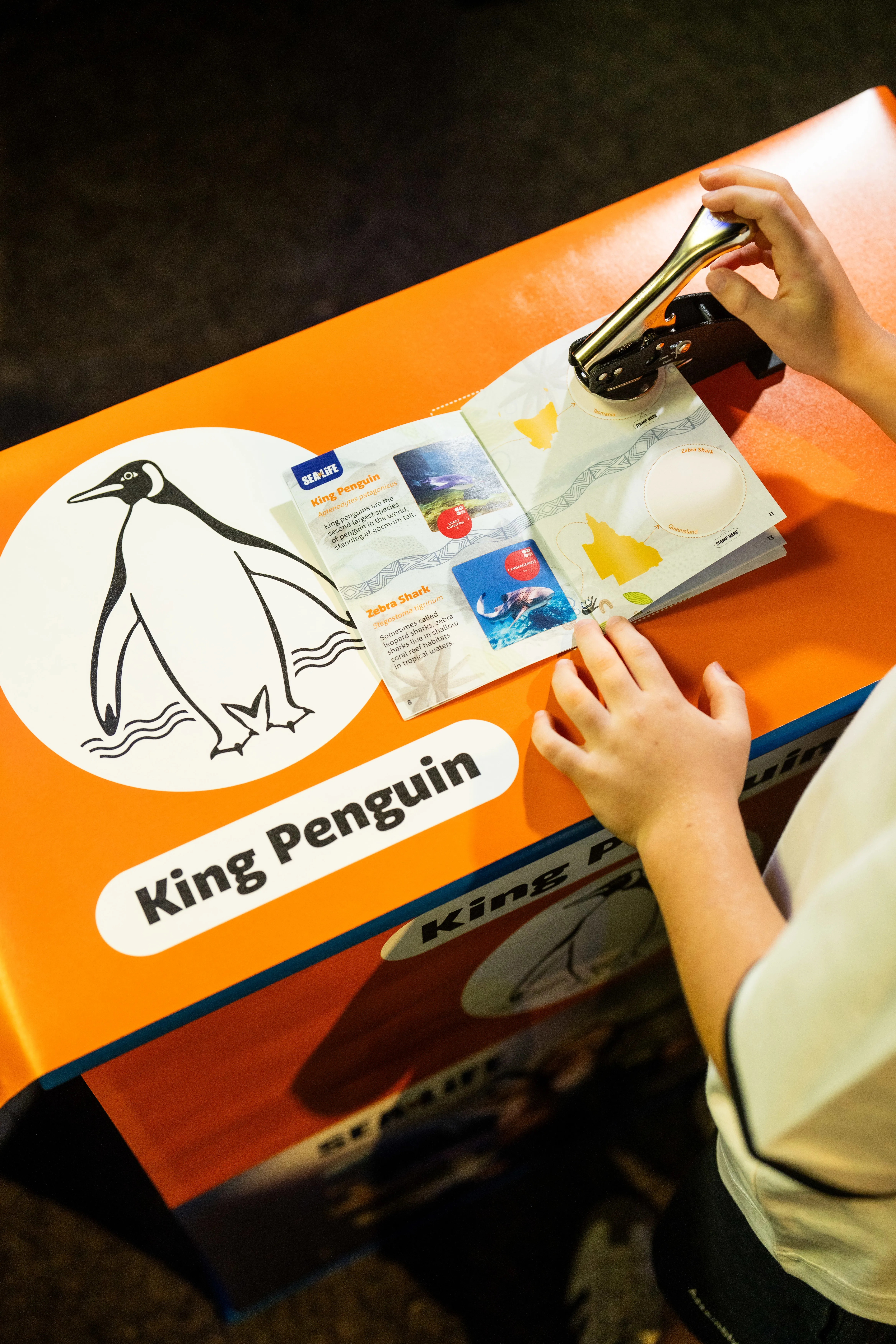 SLS WLS AAP Stamping Portrait