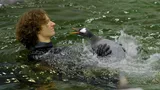 Sealifesydneyaquariumpenguinchickswimminglessons CHARLIE 200122 3