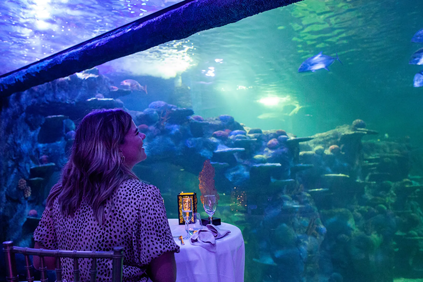 Private Dining at SEA LIFE Aquarium SEA LIFE Sydney