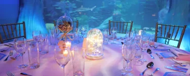 Sydney Christmas Parties at SEA LIFE