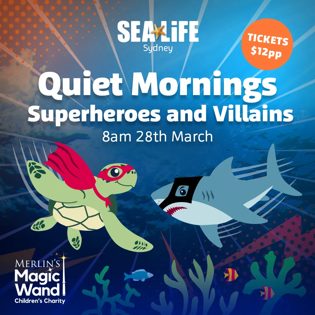 SLS Mar Quietmorning 1080X1080px