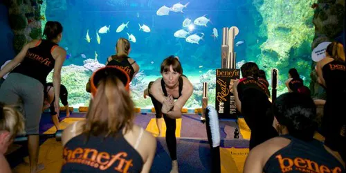 Sydney Team Building Yoga under the sea at SEA LIFE