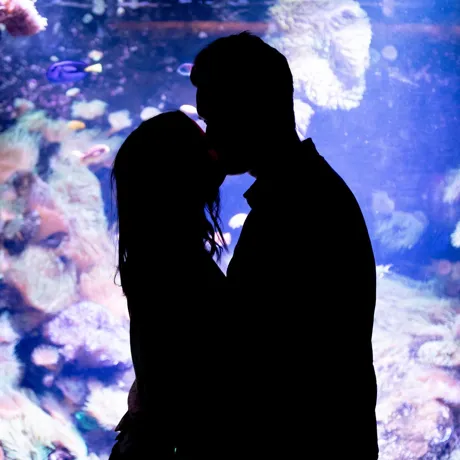 Best Valentine's Day Date Ideas in Sydney