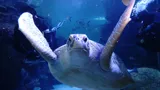 Dsc00098