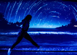 Moonlight Beach