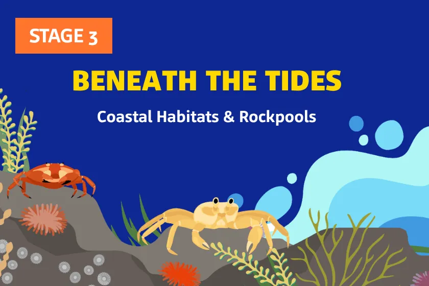 Beneaththetides 7 5