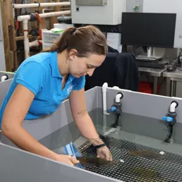 Aquarist Taylah Starc Transfers Zebra Shark Egg for Shipping SEA LIFE Sydney Aquarium