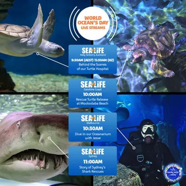 200601Sl World Ocean Day Live Stream 1080X1080