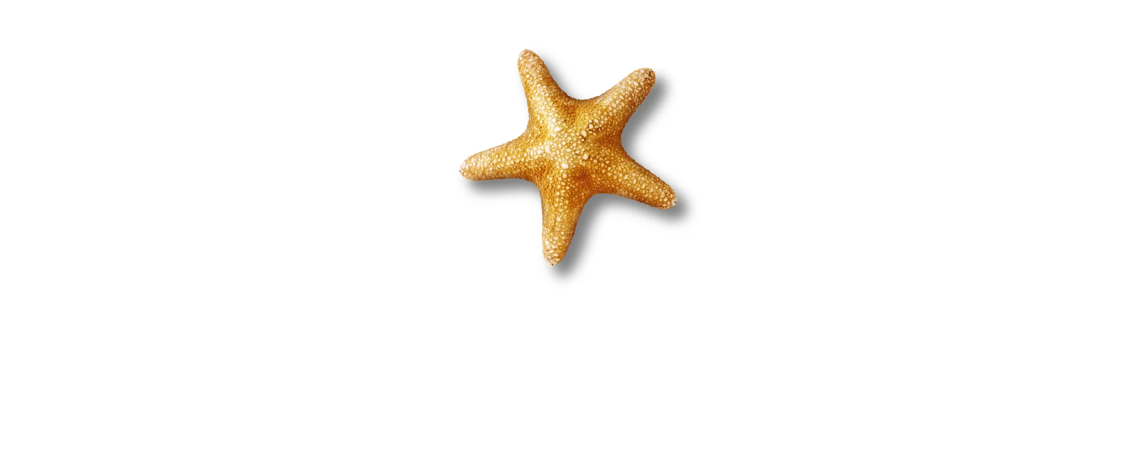 SEA LIFE + Sydney (White Text) RGB