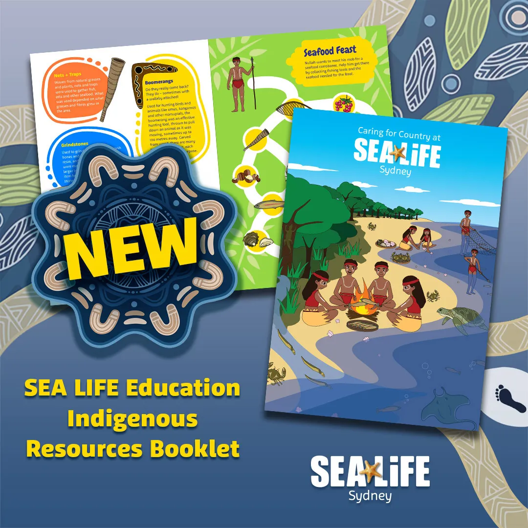 Indigenous Education Resource | SEA LIFE Sydney Aquarium
