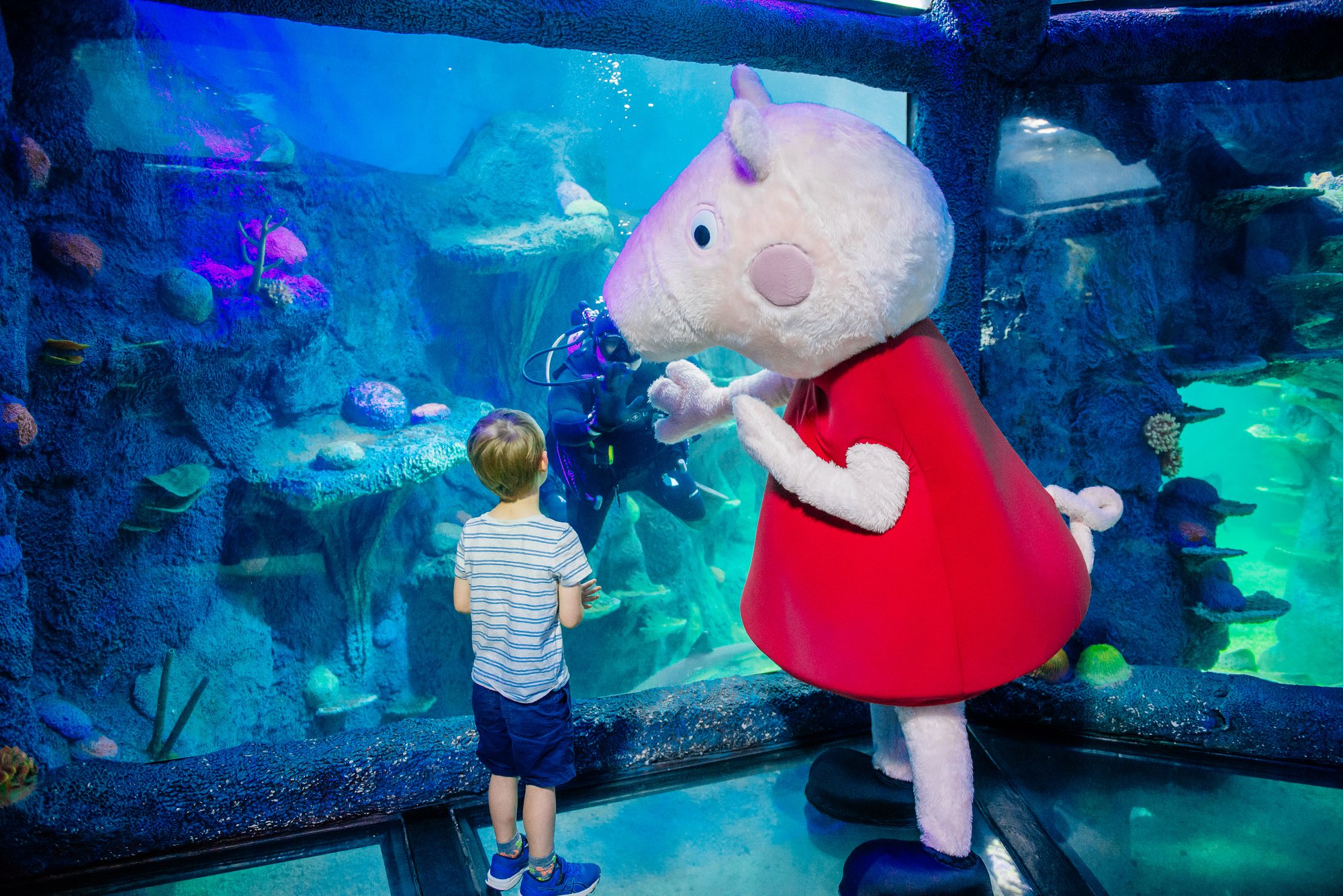 Peppa Pig Goes To The Aquarium!