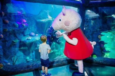 Peppa Pig