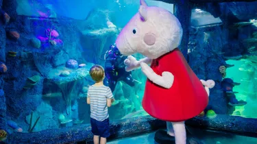 Peppa Pig