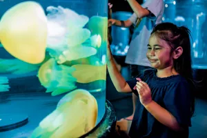 The kids and family will love the exhibits on offer at Sea Life Sydney Aquarium