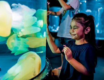 The kids and family will love the exhibits on offer at Sea Life Sydney Aquarium