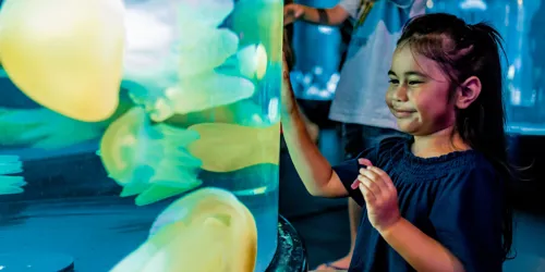 The kids and family will love the exhibits on offer at Sea Life Sydney Aquarium