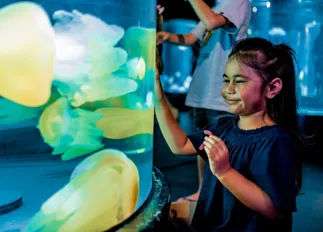 The kids and family will love the exhibits on offer at Sea Life Sydney Aquarium