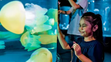 The kids and family will love the exhibits on offer at Sea Life Sydney Aquarium